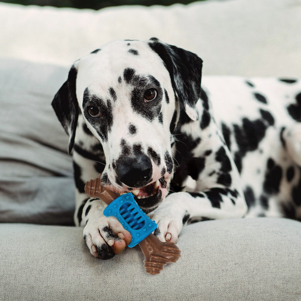 🦴 SPOT Bam-Bones Plus – Hueso Masticable con Centro Masajeador Sabor Tocino