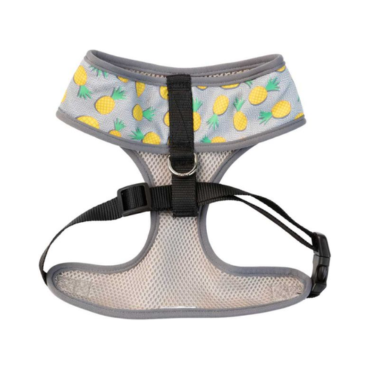 Arnés Piña Colada FuzzYard