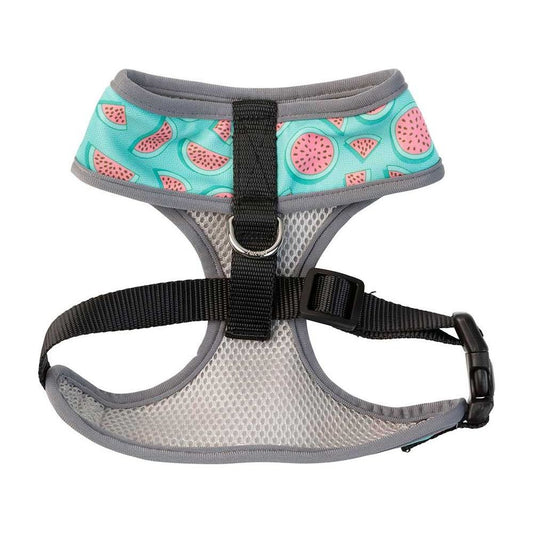 Arnés Summer Punch FuzzYard