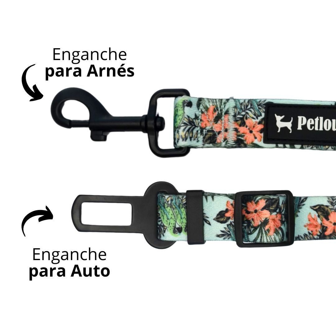 Cinturón de Seguridad Blue Parrots