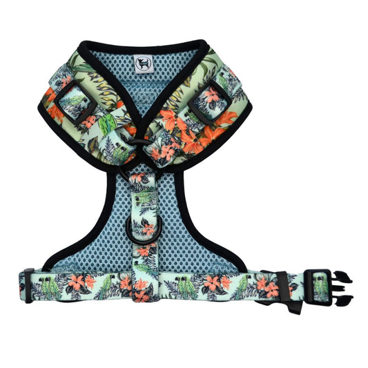 Arnés Pechera - Blue Parrots