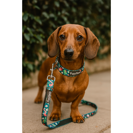 Correa Dinosaur Land Fuzzyard