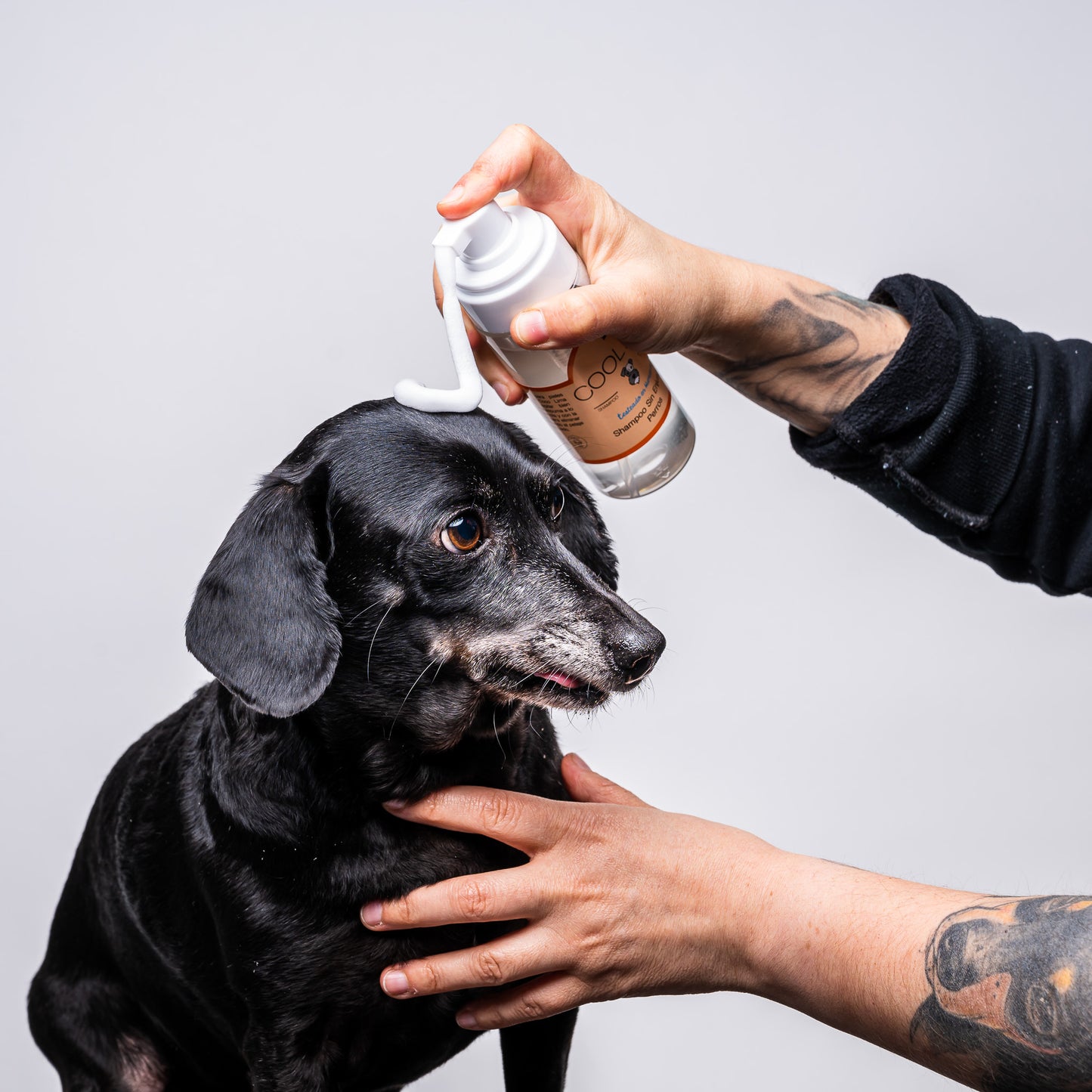 Shampoo en Espuma sin Enjuague – Limpieza Rápida y Suave (150 ml)