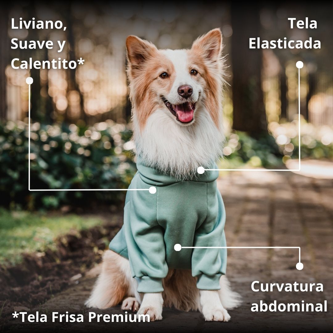 Hoodie Térmico para Mascotas Verde