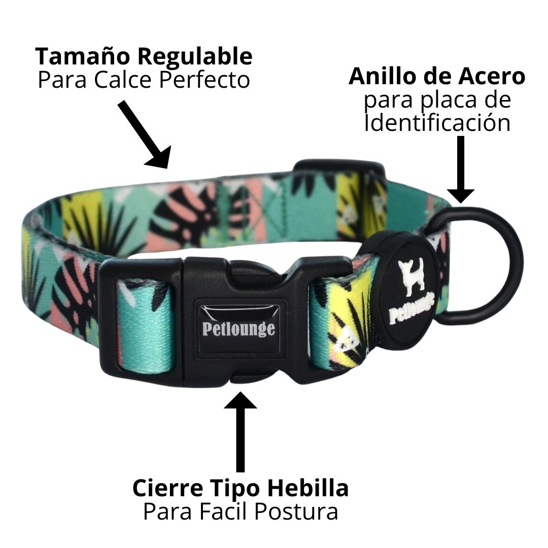 Collar Wild Monstera