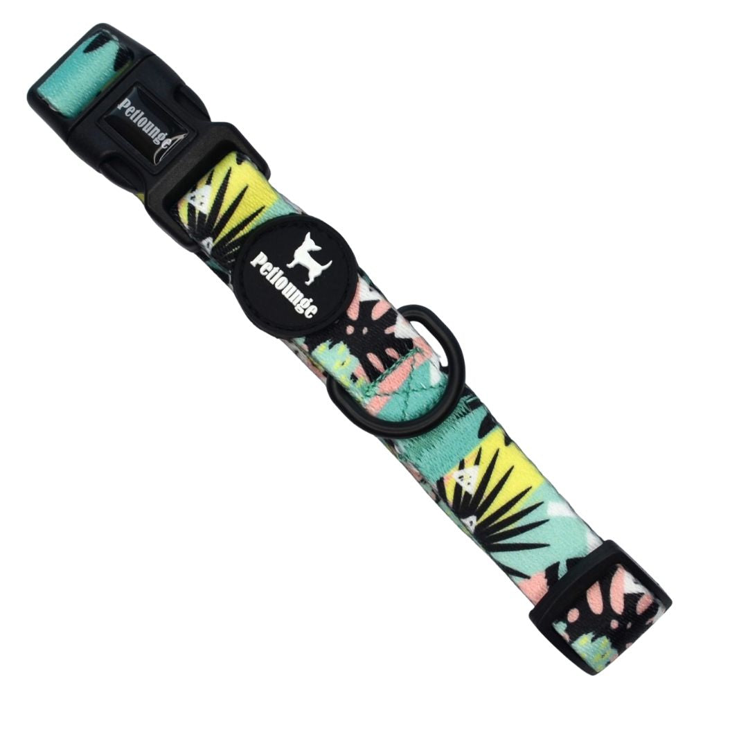Collar Wild Monstera