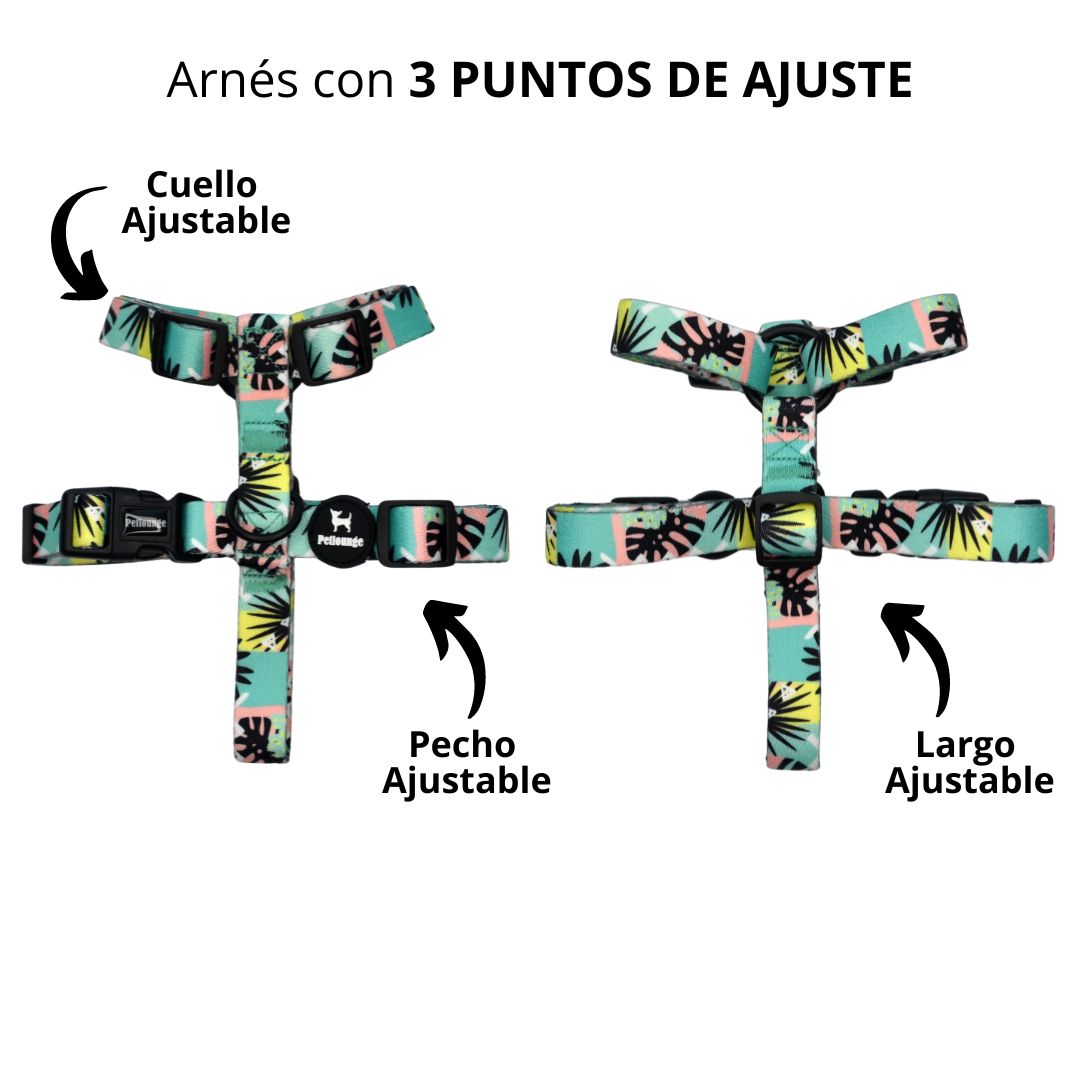 Arnés H