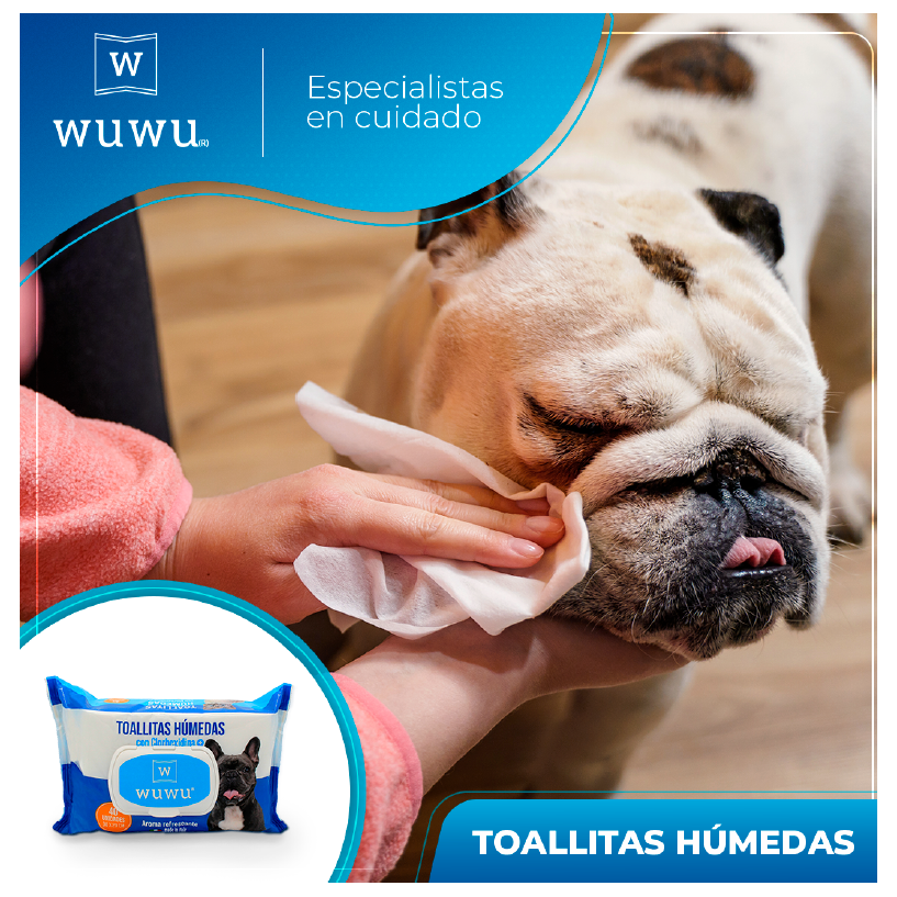 🧼 WuWu Toallitas Húmedas con Clorhexidina – Limpieza y Protección Antiséptica para Mascotas (40 unid.)
