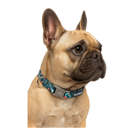 Collar Dinosaur Land FuzzYard