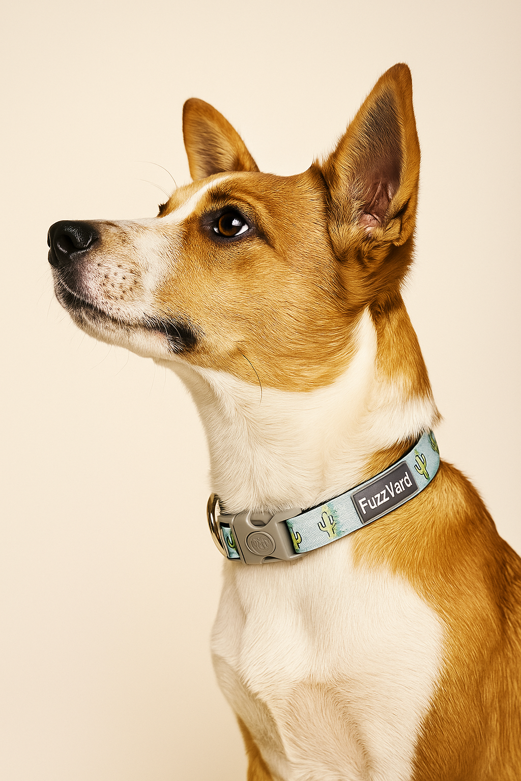 Collar Tucson FuzzYard Tucson