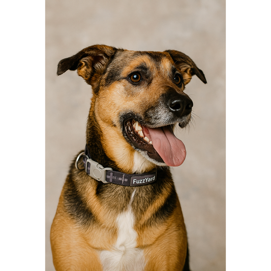 Collar Yeezy FuzzYard