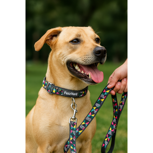 Correa No Signal Fuzzyard