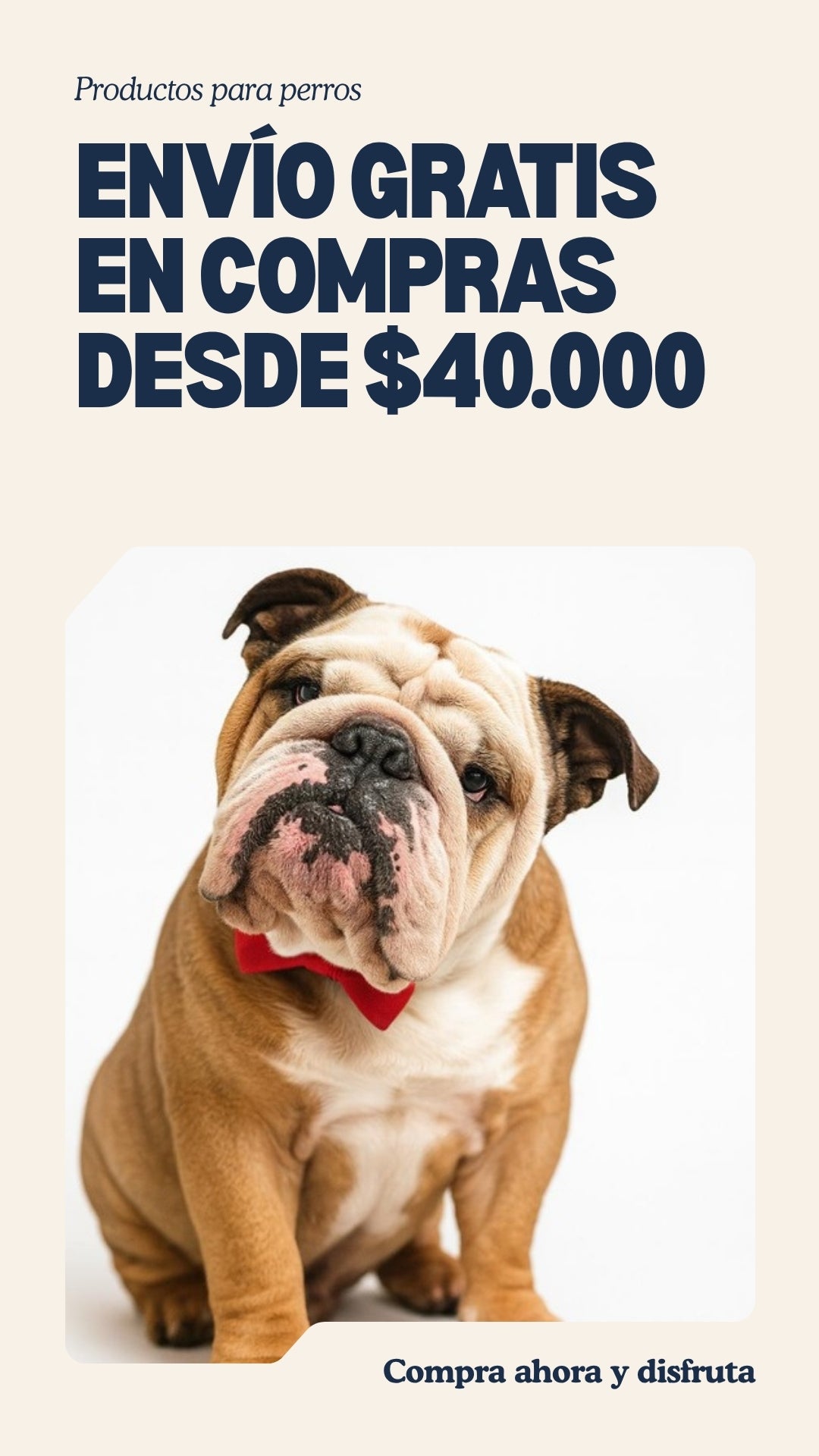 Ofertas La Casa de Pascual