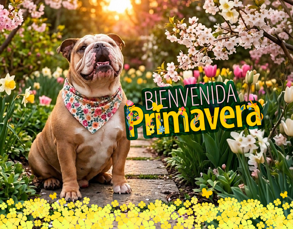 Bienvenida Primavera