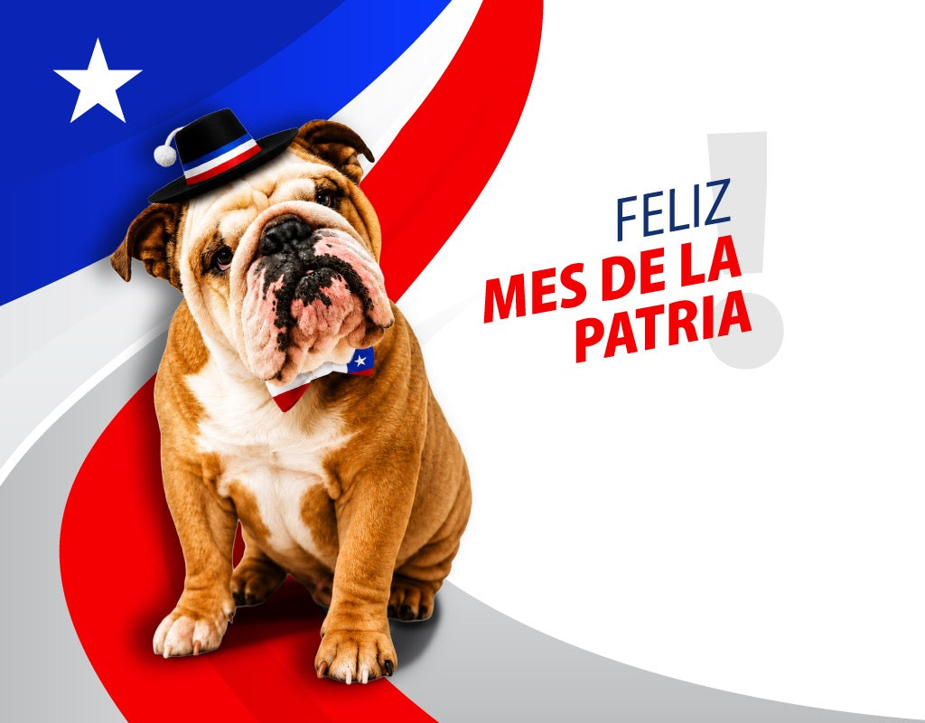 Feliz Mes de la Patria