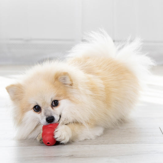 Guía definitiva para elegir el juguete KONG ideal para la limpieza dental de tu perro