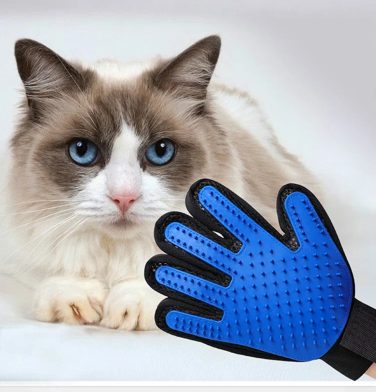 Gatos