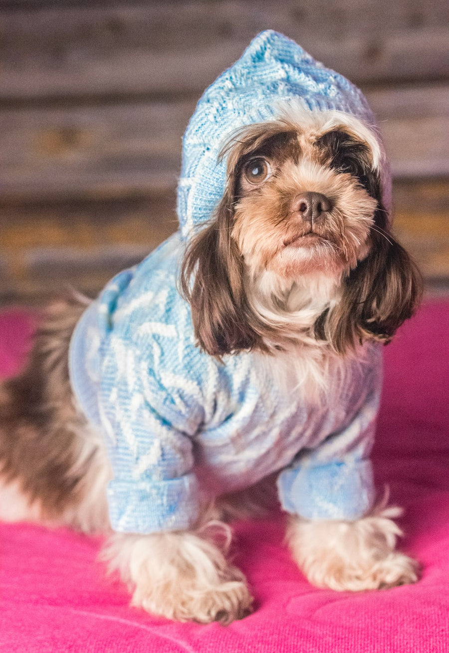 Vestuario y Estilo