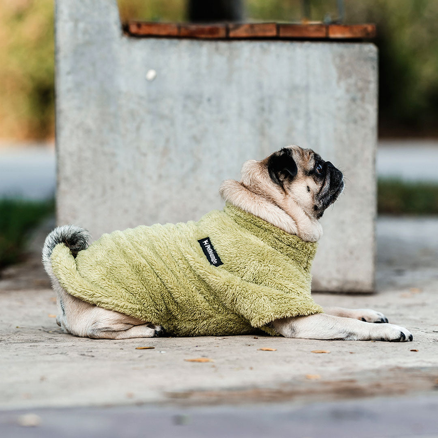 Ropa de Paseo