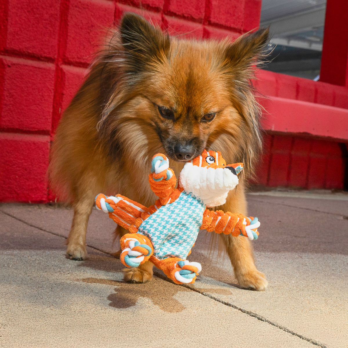 KONG Floppy Knots Fox