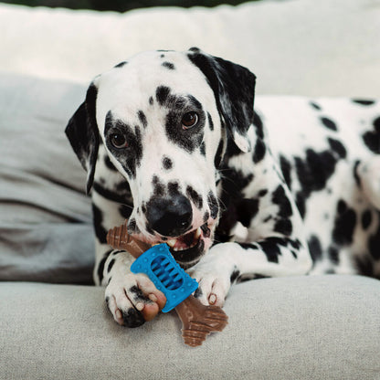 🦴 SPOT Bam-Bones Plus – Hueso Masticable con Centro Masajeador Sabor Tocino