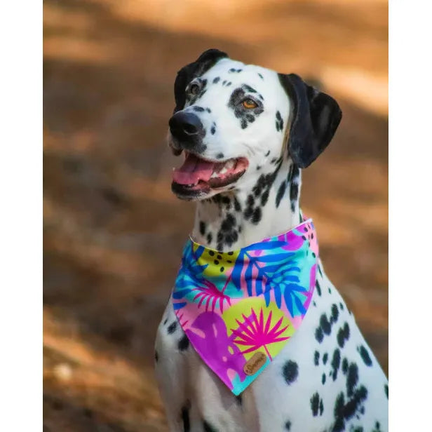 Bandana “Pink Flowers” By Simona