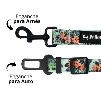 Cinturón de Seguridad  Blue Parrots