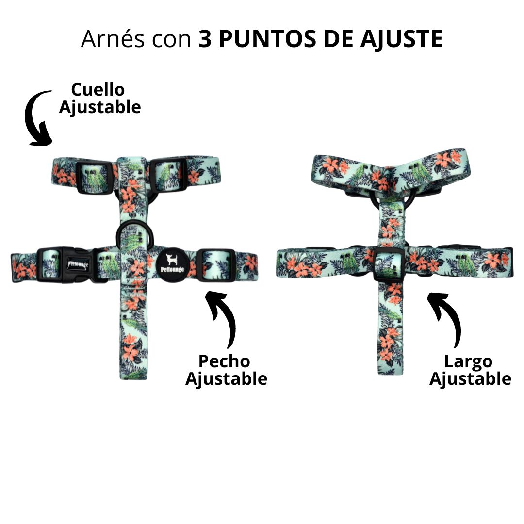 Arnés H