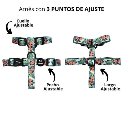 Arnés H