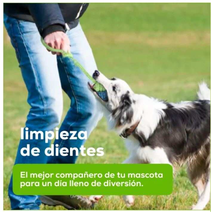 Juguete Mordedor de Cuerda con Pelota Anudada