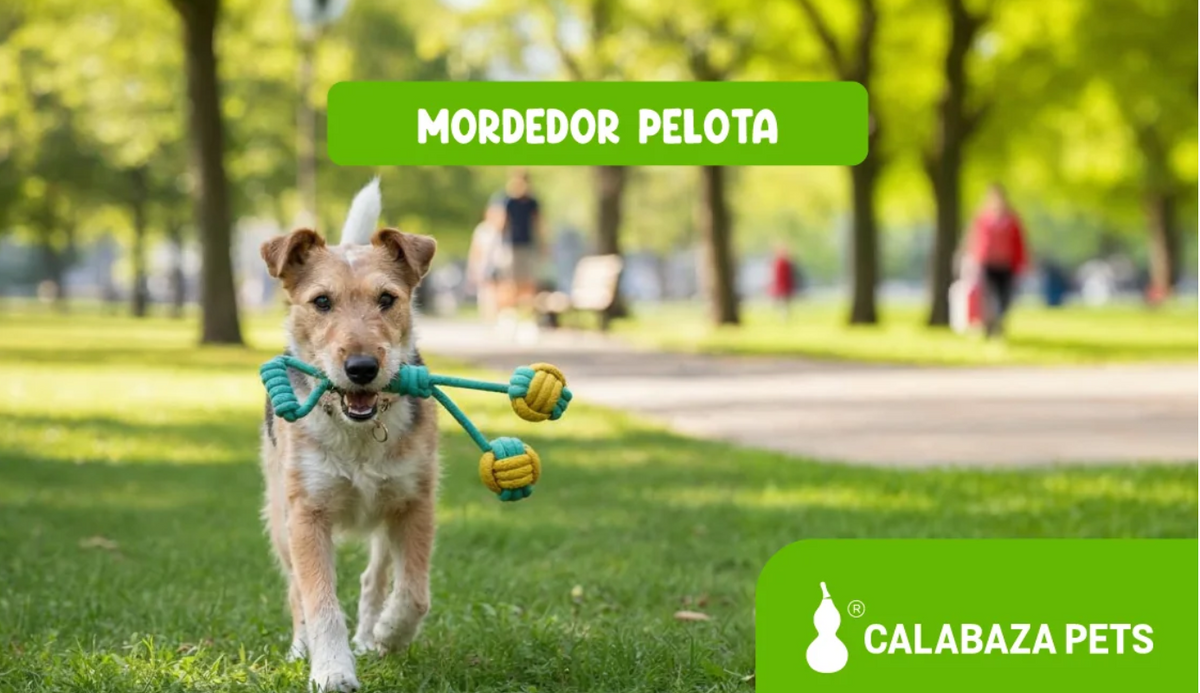 Juguete Mordedor de Cuerda con Doble Pelota