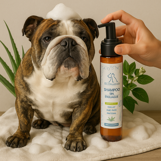 Shampoo en Espuma Sin Enjuague Ecoaustralis