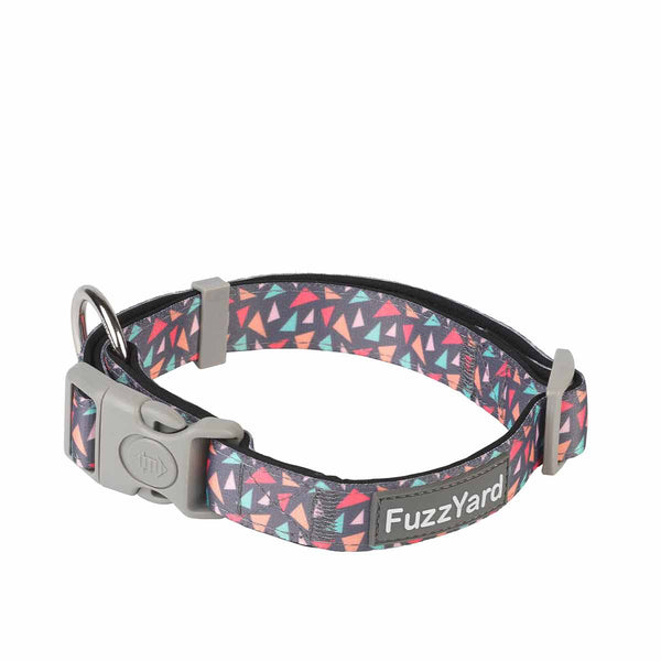 Collar Rad  FuzzYard