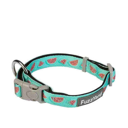 Collar Summer Punch  FuzzYard
