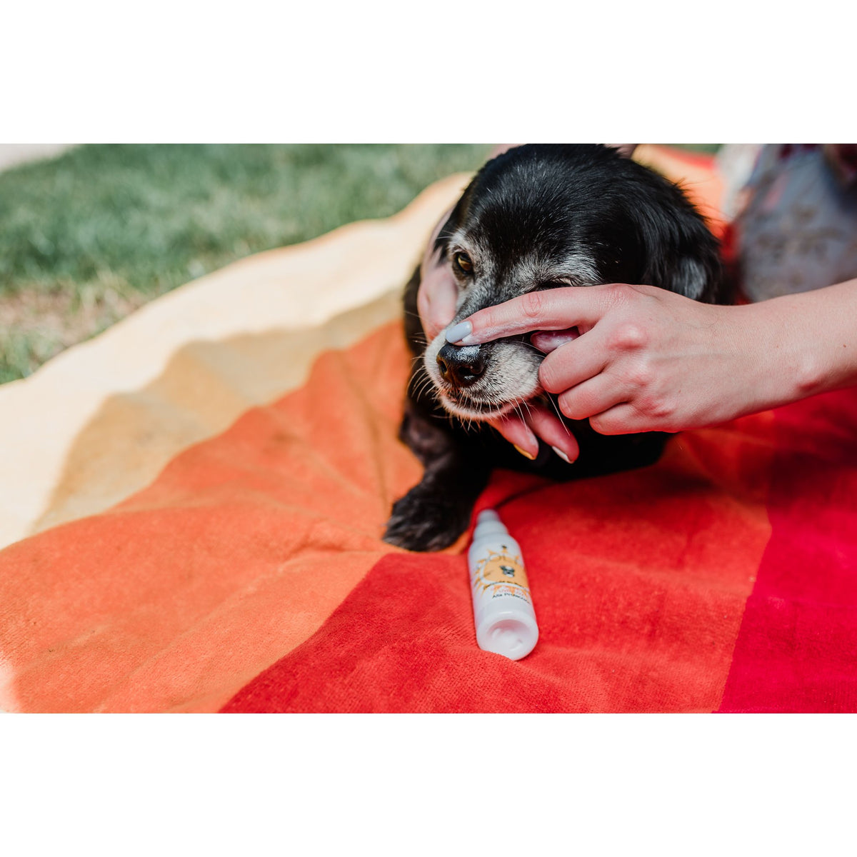 Coolpet Protector Solar SPF 30