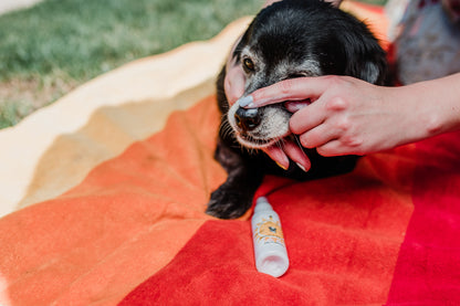 Coolpet Protector Solar SPF 30