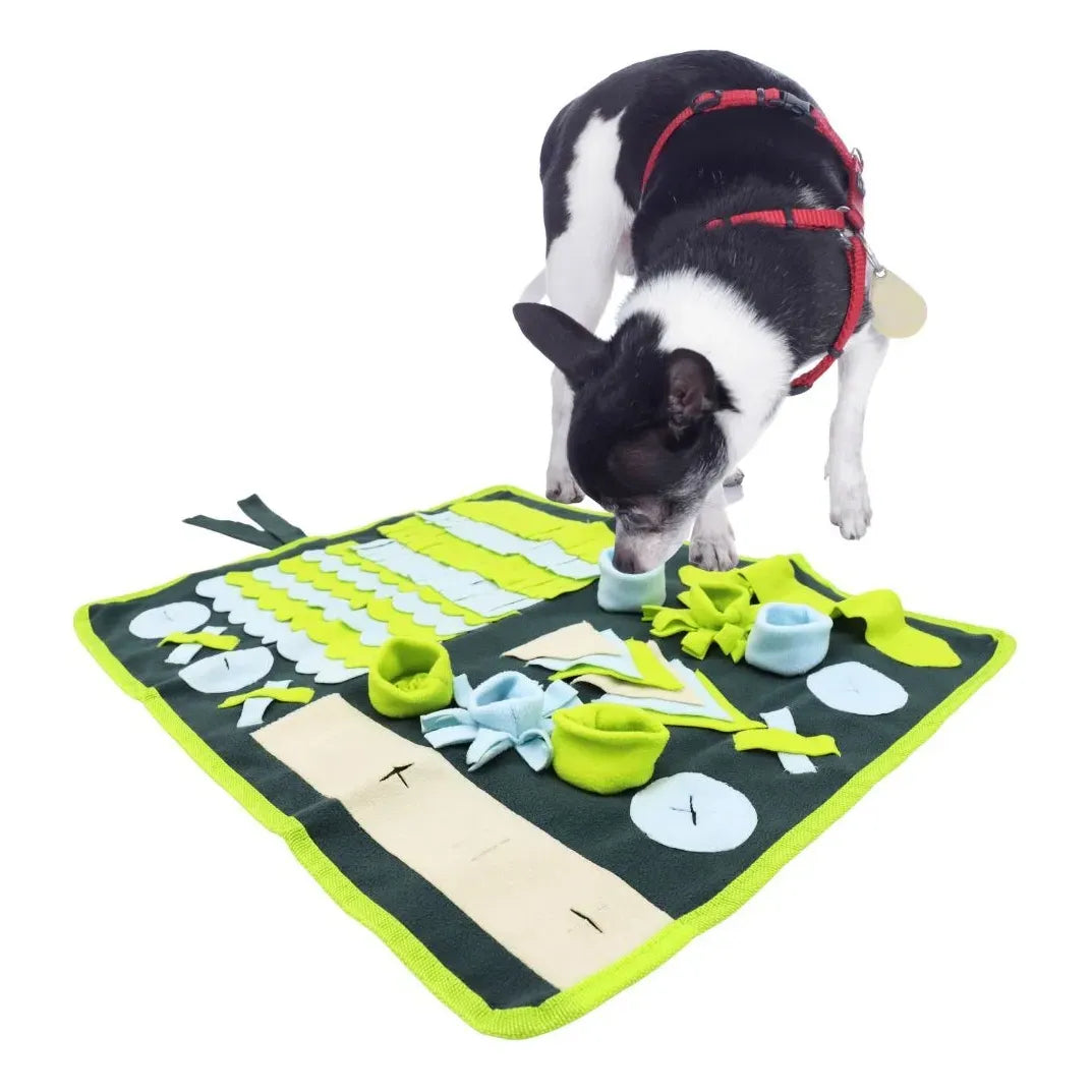 Manta de Entrenamiento Pawise 50 X 40