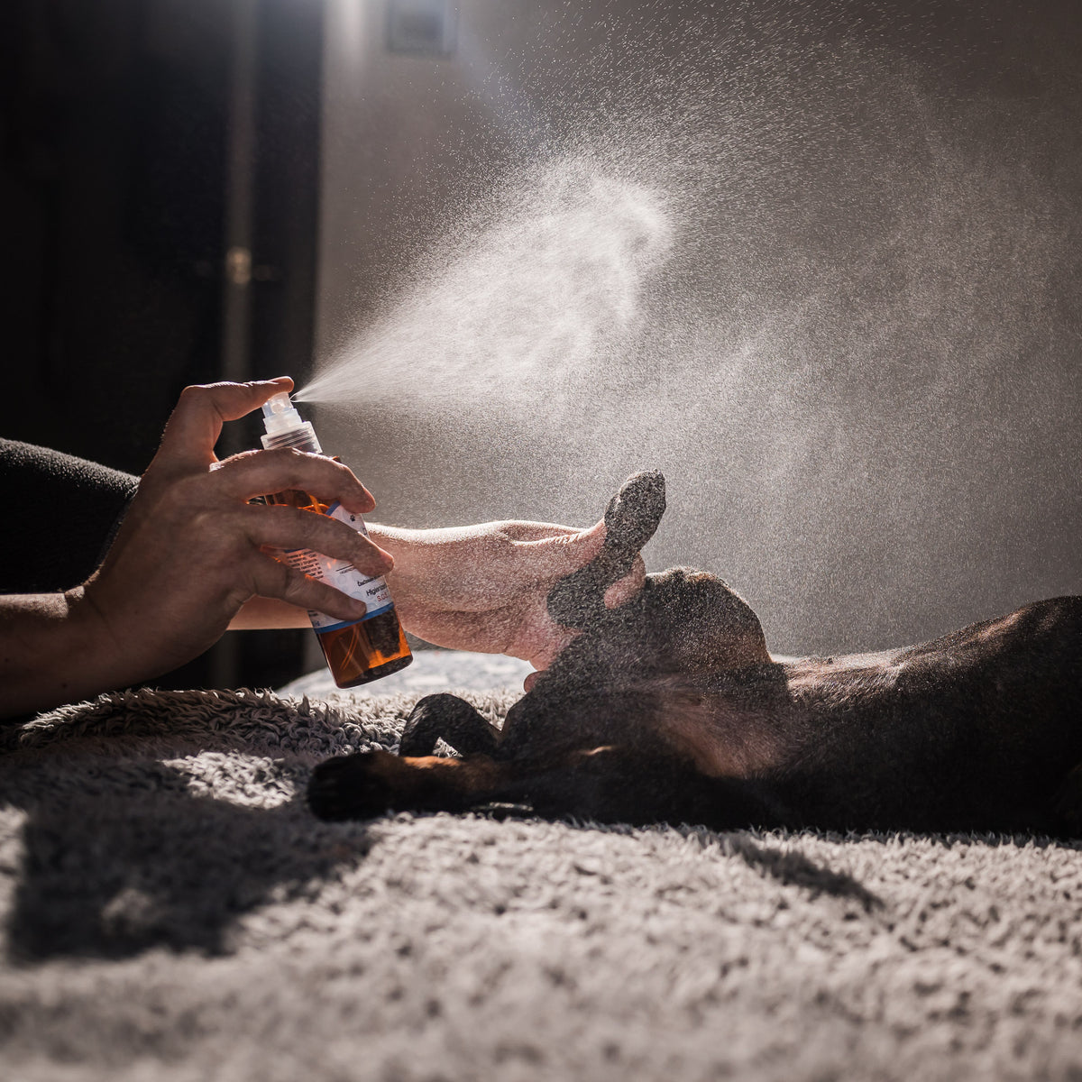 Coolpet Spray Higienizante S.O.S. – Antiséptico y Desinfectante Veterinario Multiuso (150 ml)