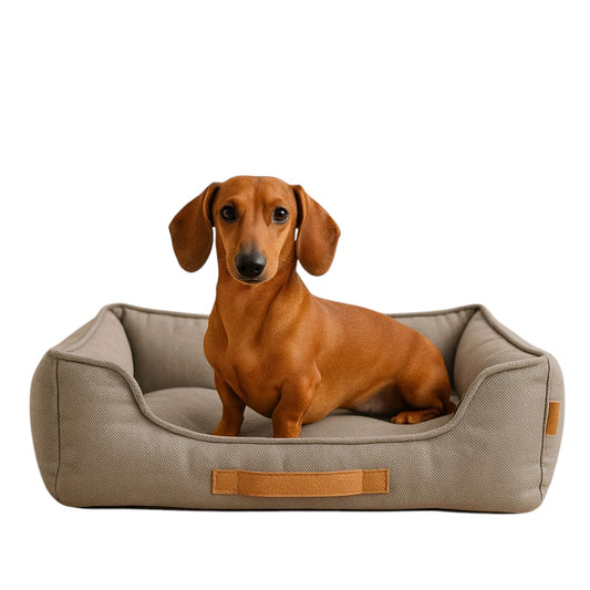 👑 Cama William Classic 2025 – Estilo Real y Máximo Confort