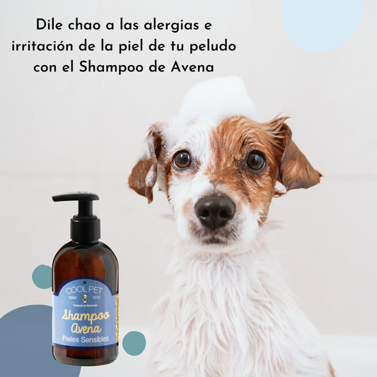 Coolpet Shampoo de Avena  Pieles Sensibles