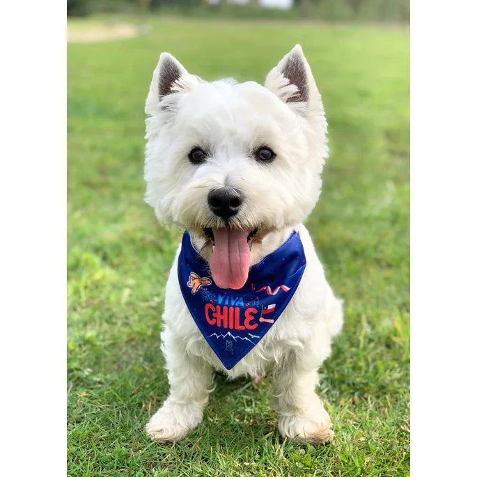 Bandana con Collar “Viva Chile”