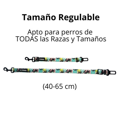 Cinturón de Seguridad Wild Monsterapara