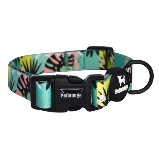 Collar Wild Monstera