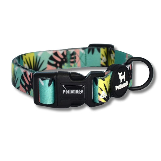 Collar Wild Monstera