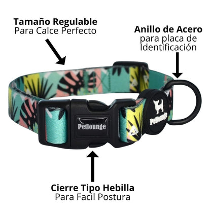 Collar Wild Monstera