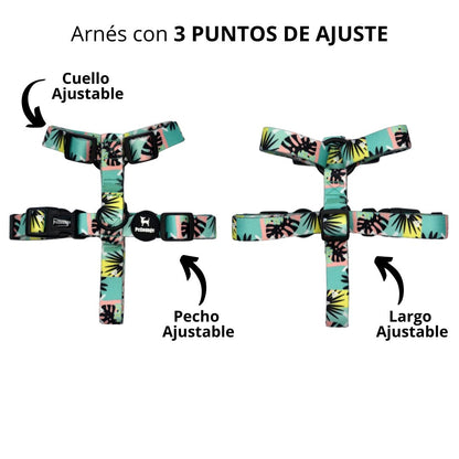 Arnés H