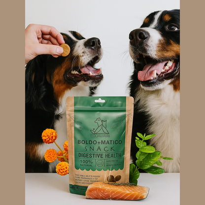 Snack Digestive Matico & Boldo