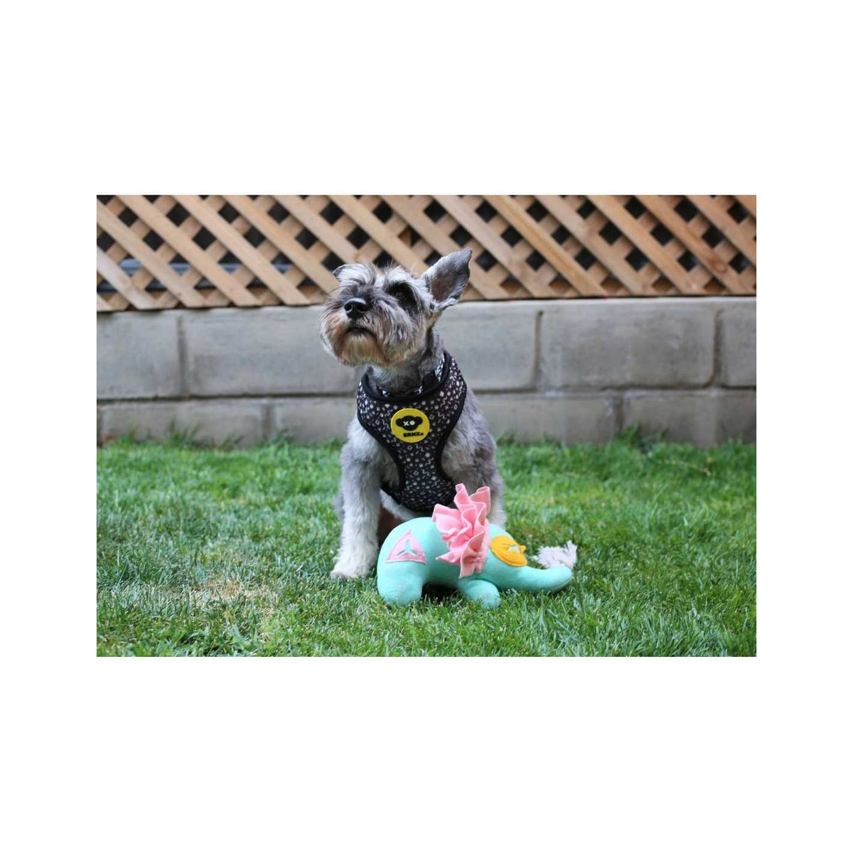 BRNX IQ ELEFANTE COGNITIVO PLUSH