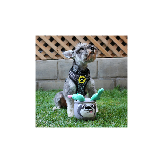 BRNX JUGUETE PLUSH IQ PEREZOSO COGNITIVO