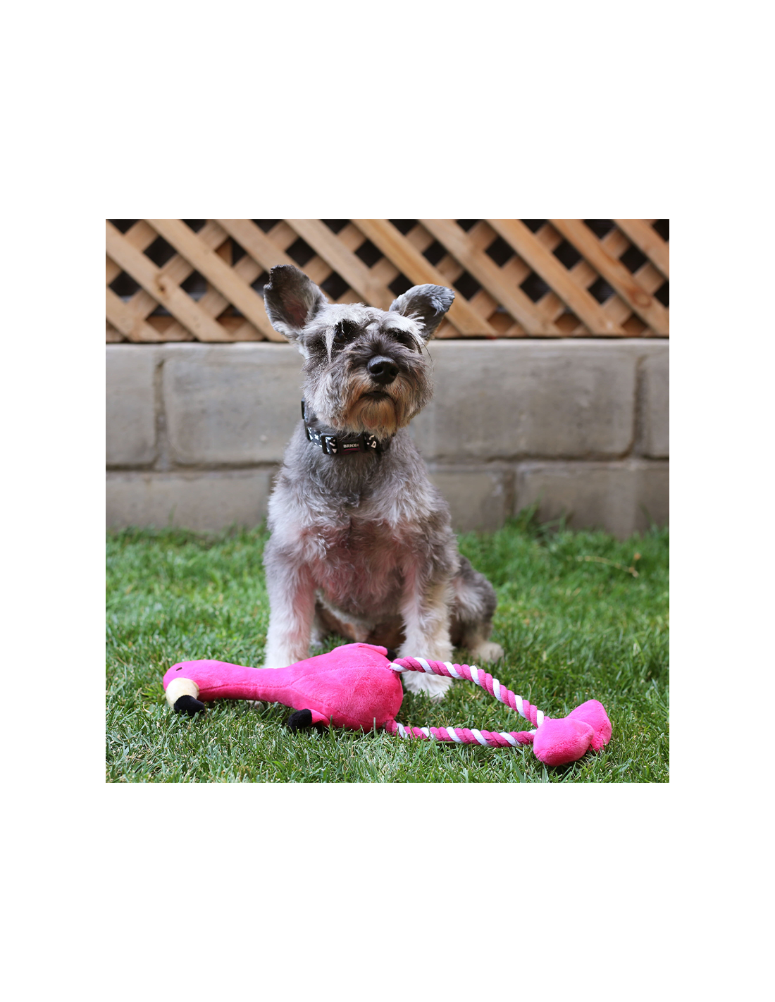 BRNX Peluche con Cuerda Flamenco XL